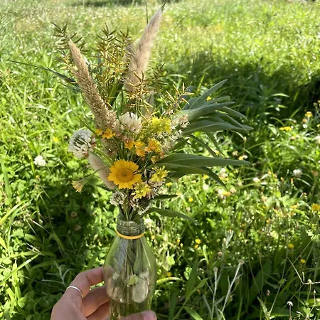 Casa Do Sol Wellness Βίλα Όμπιδος