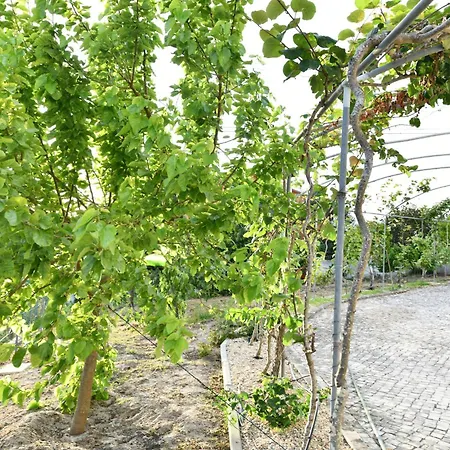Casa Do Sol Wellness * Obidos