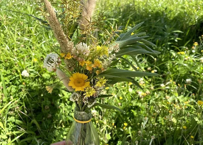 Casa Do Sol Wellness Villa Óbidos